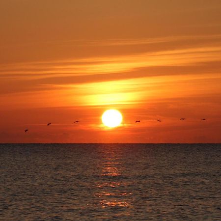 Oceanfront Inn And Suites - Ormond Ormond Beach Buitenkant foto