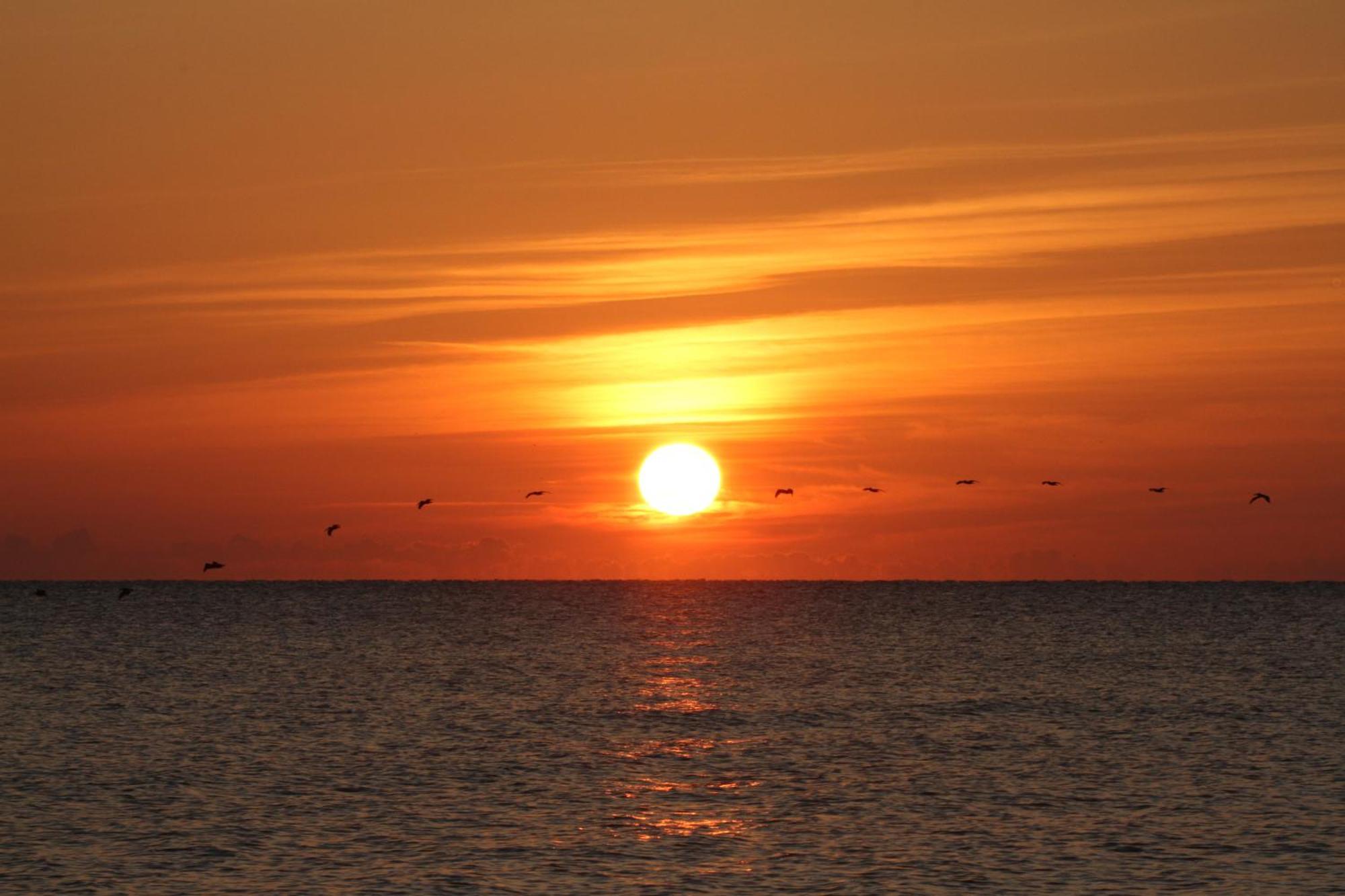 Oceanfront Inn And Suites - Ormond Ormond Beach Buitenkant foto